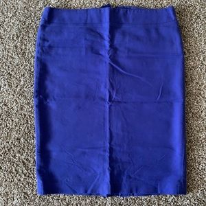 Indigo Blue Skirt